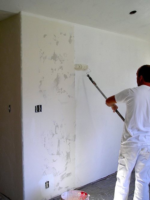 Interior wall Painting